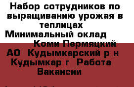 Набор сотрудников по выращиванию урожая в теплицах › Минимальный оклад ­ 47 000 - Коми-Пермяцкий АО, Кудымкарский р-н, Кудымкар г. Работа » Вакансии   